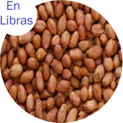 Maní con piel importado