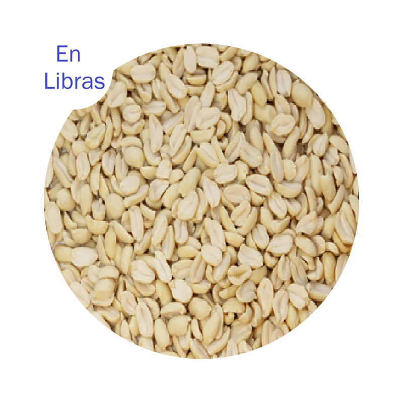 Maní crudo pelado importado