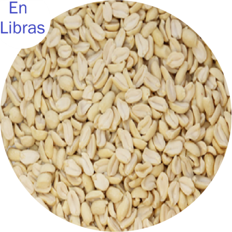 Maní crudo pelado importado