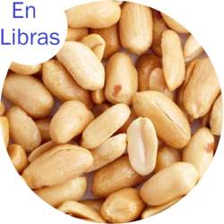 Mani Blancheado Tostado Importado