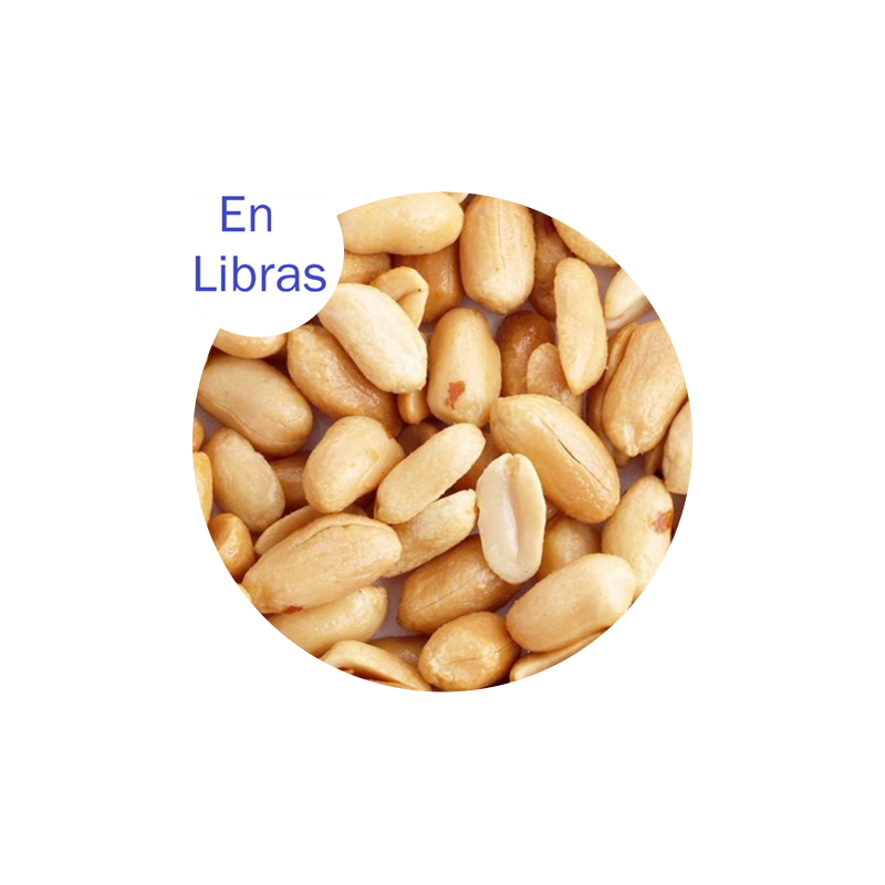 Mani Blancheado Tostado Importado