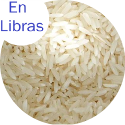 ARROZ GRAMINEA ALTO RENDIMIENTO