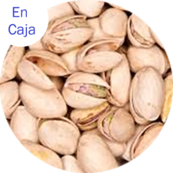 PISTACHO TIPO II