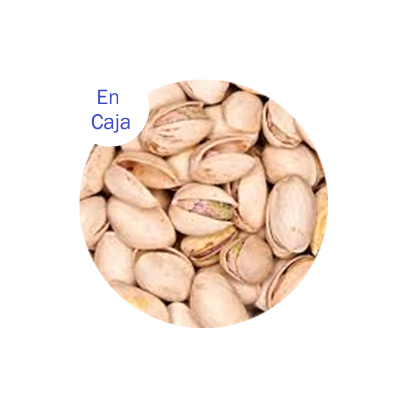 PISTACHO TIPO II