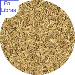 Comino eb Grano y Molido