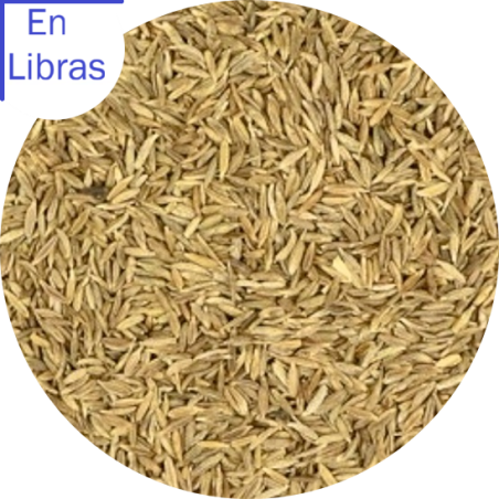 Comino eb Grano y Molido