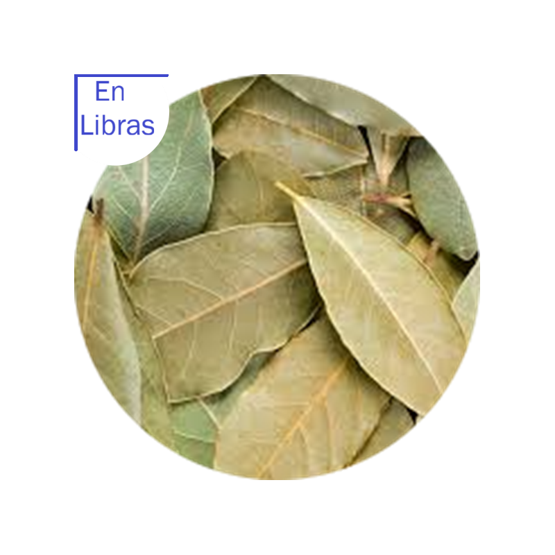 copy of copy of copy of copy of copy of copy of Hummingbird printed t-shirt