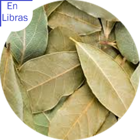 Laurel Molido y en Hoja